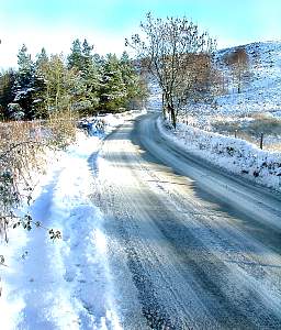Dscn5709.jpg