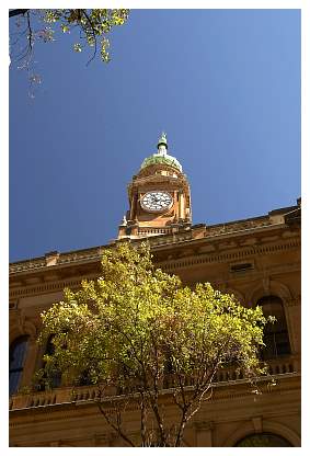 CRW_4441.jpg