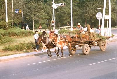 China_1991-0138.jpg