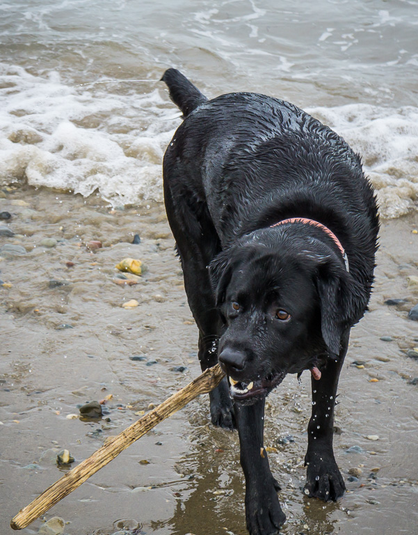 Criccieth, East Beach