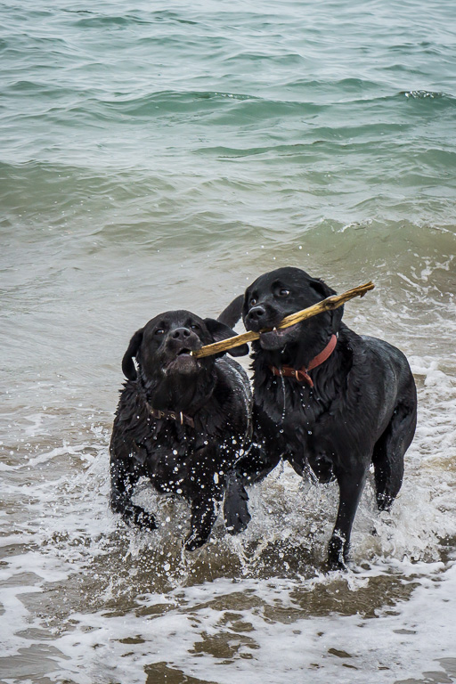 Criccieth, East Beach