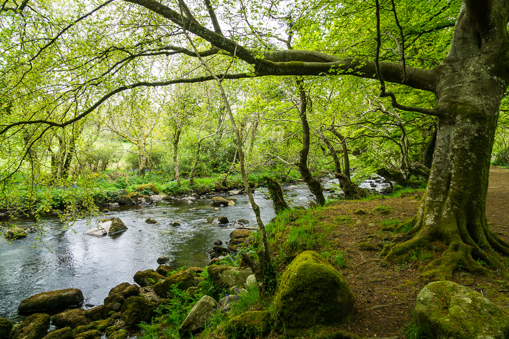 Afon Dwyfach