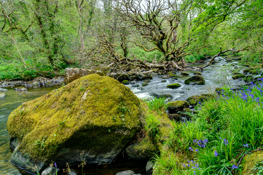 Afon Dwyfach