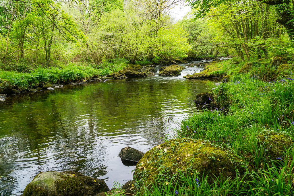 Afon Dwyfach