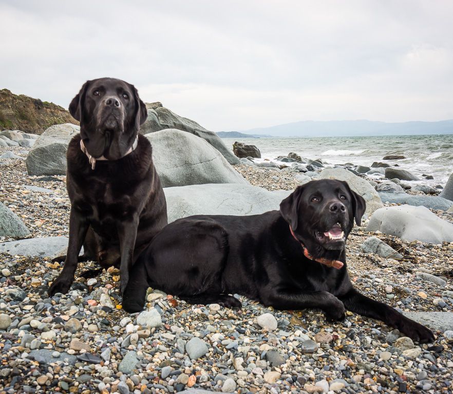 Criccieth, Traeth Beach