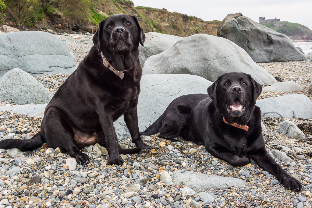 Criccieth, Traeth Beach