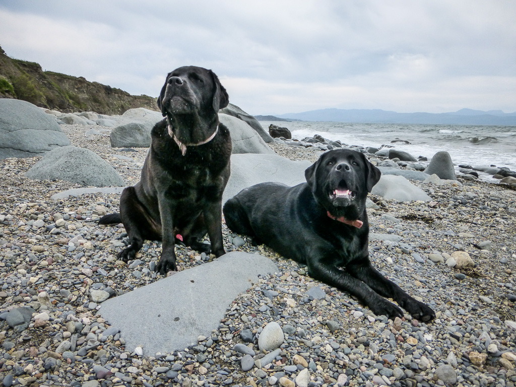 Criccieth, Traeth Beach