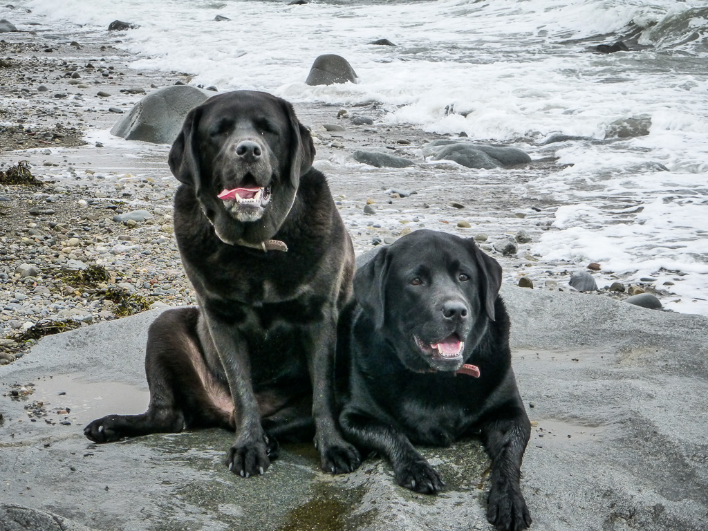 Criccieth, Traeth Beach